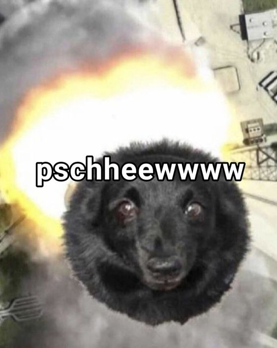 pschheewww dog
